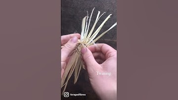 Corn husk weaving