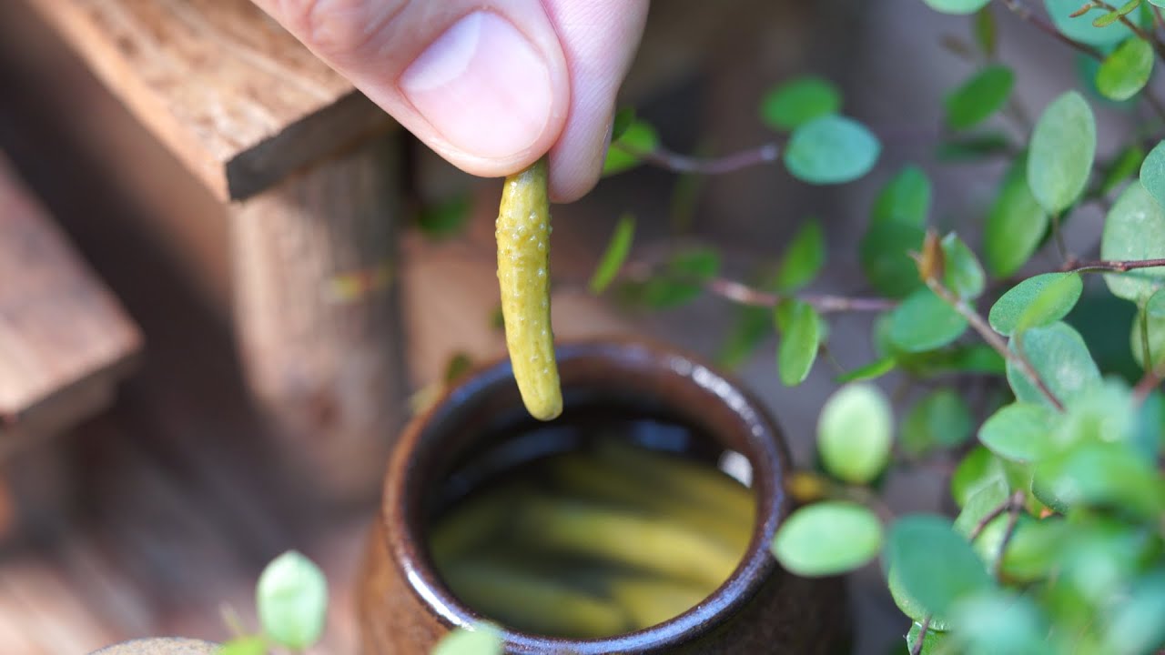 Korean Mini Food/ 오이지와 콩국수/미니어쳐 요리/miniature cooking