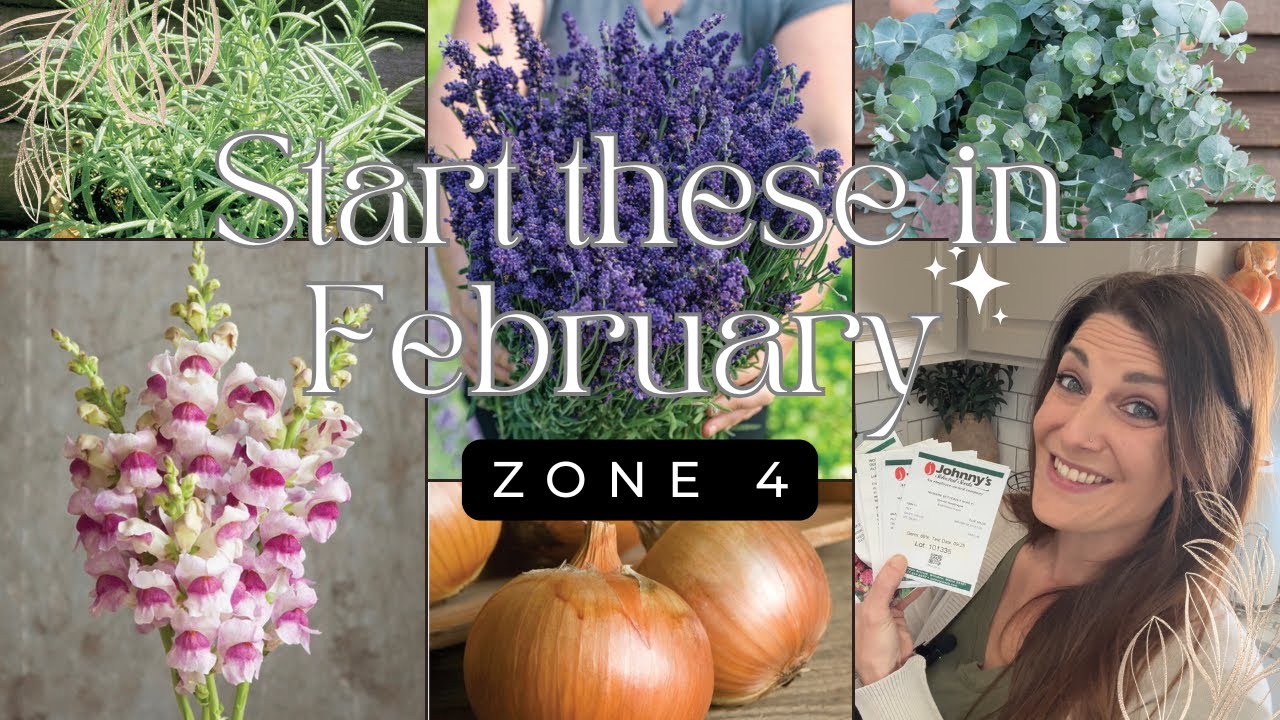 Starting Seeds for our Zone 4 Garden // What to Start in February 🧅🪻🌸