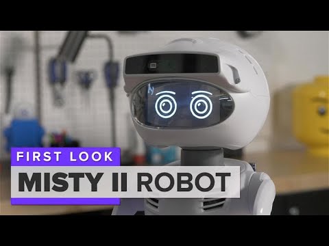 Meet Misty The Robot That Could Be From The Jetsons 