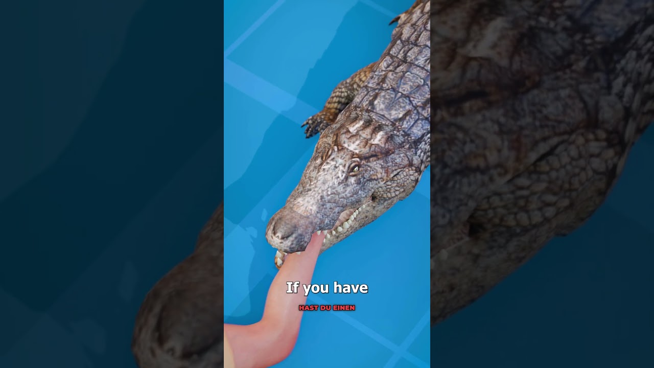 Wie man einen Alligator Angriff überlebt 🐊 