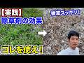 【検証】グリホサート系の除草剤は散布してから何日で効果を発揮するのか経過観察してきた。サンフーロン　ラウンドアップとザクサのグリホシネートは枯らすまでの時間が全然違います。