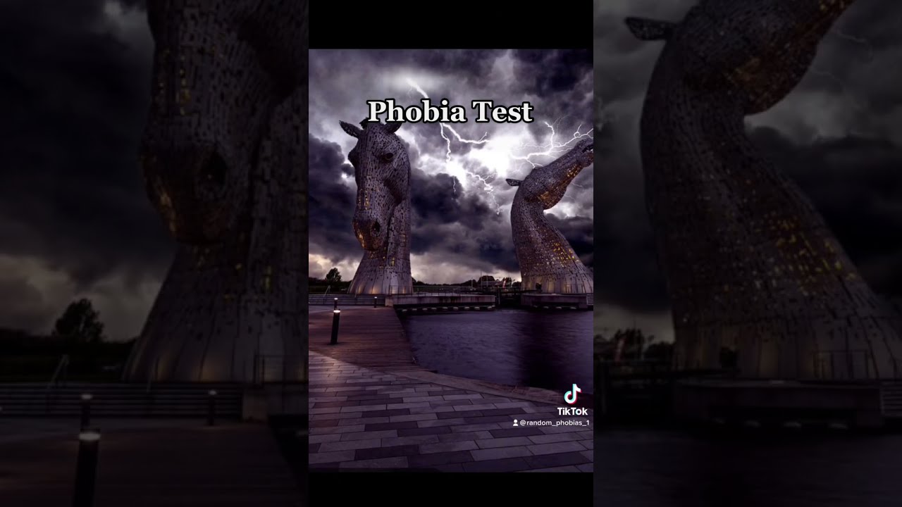 Test Your Phobias 