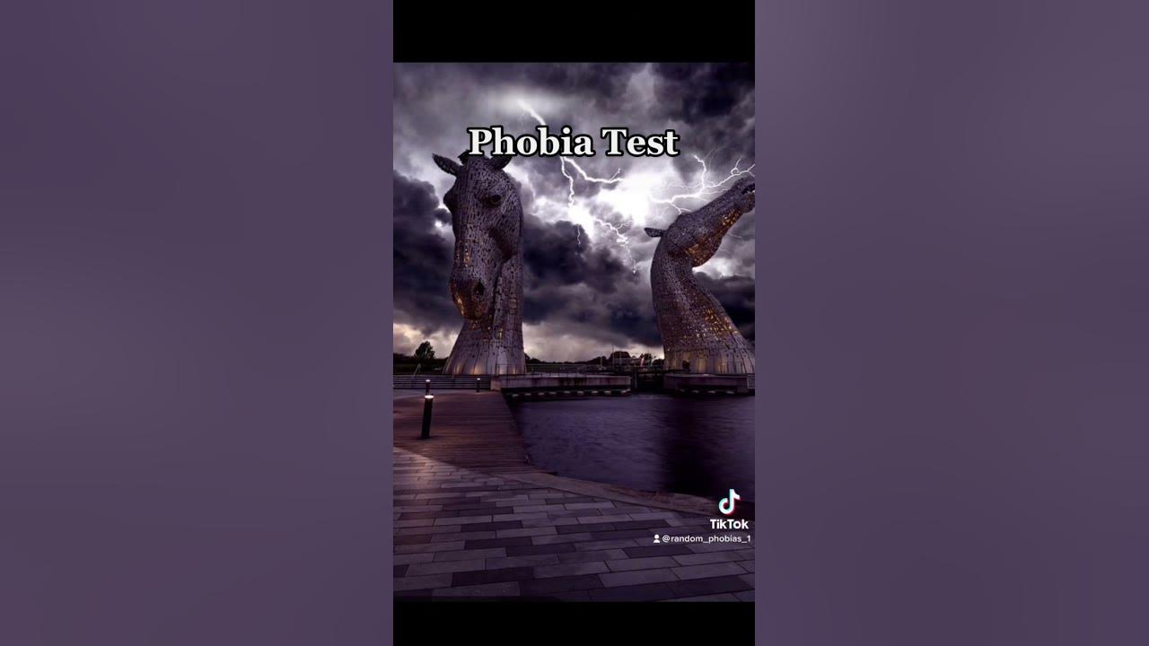 Test your phobias… Test your phobias…