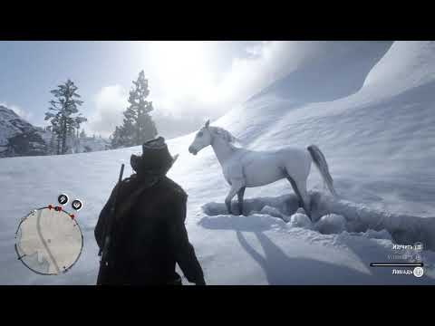 Red Dead Redemption 2 как приручить белую арабскую лошадь