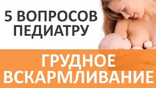 Грудное вскармливание. 5 популярных вопросов о грудном вскармливании