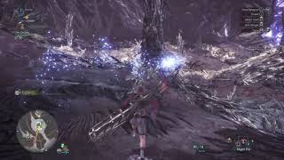 Why U Should Never Naked Run Nergigante