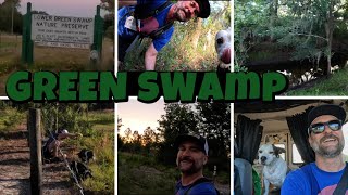 Lower Green Swamp Nature Preserve | Lakeland Florida | 6 Mile Morning Hike AFT 2024🔥🆙 #florida