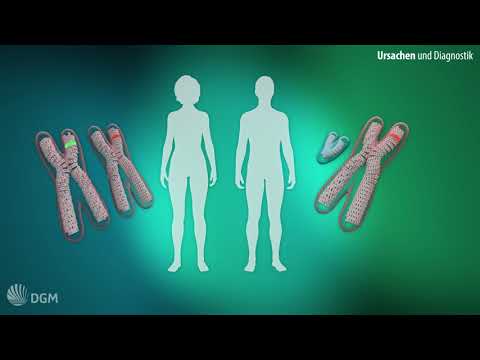 Erklärvideo Muskeldystrophien Duchenne und Becker