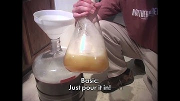 How to Make a Homebrew Yeast Starter