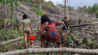 🟠 Mencari Ikan Di Hutan Bersama Cewek-Cewek Suku Dayak‼️Pedalaman Kalimantan