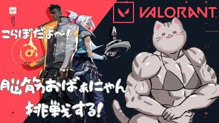 【#VALORANT 】よちよちヴァロこらぼ～～～！！【#杣松 #琥珀ユウ #プロテア・メリンガ #智奈ちほ #曇月りつ ／#初見大歓迎  】