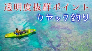最終兵器