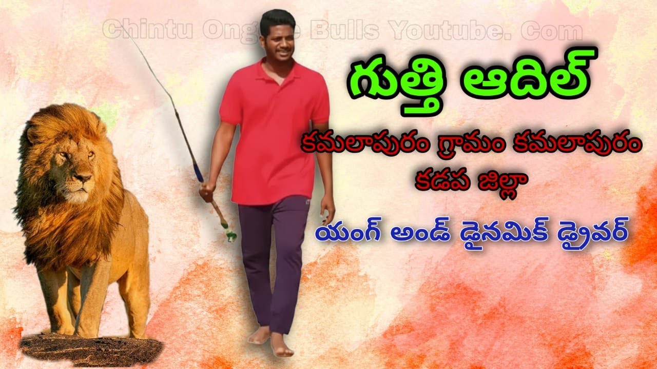 💥🌾పెద్దపసుపుల సీనియర్ విభాగానికి 12వ జత గుత్తి ఆదిల్ గారు💥08-03-2026💥