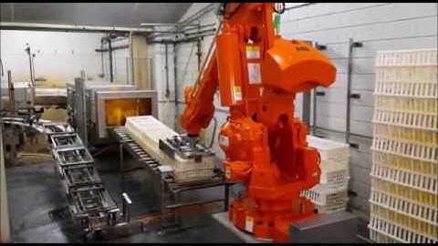 Crate Palletizer - robot palletizer by Triplelima