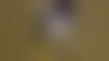 خربش صبرنا ومتخلينا 
