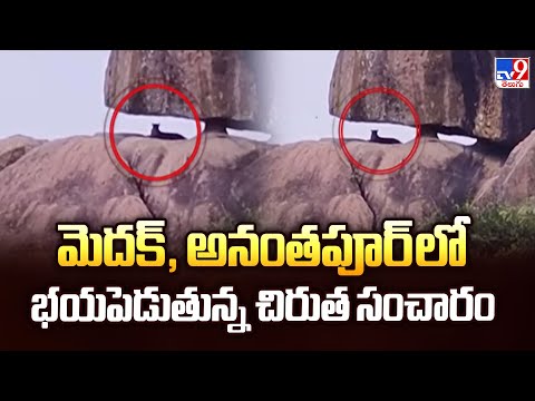మెదక్, అనంతపూర్ లో భయపెడుతున్న చిరుత సంచారం - TV9 - TV9