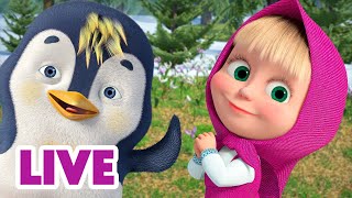 🔴 Live 🐻👧 Masha Y El Oso 2024 🐧🥰 Ave Favorita 🎬 Masha And The Bear