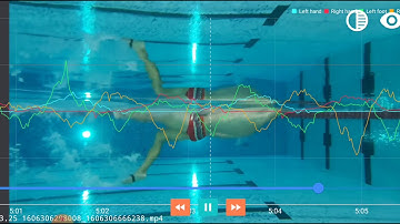 Swimming force visualization by Platysens Seal