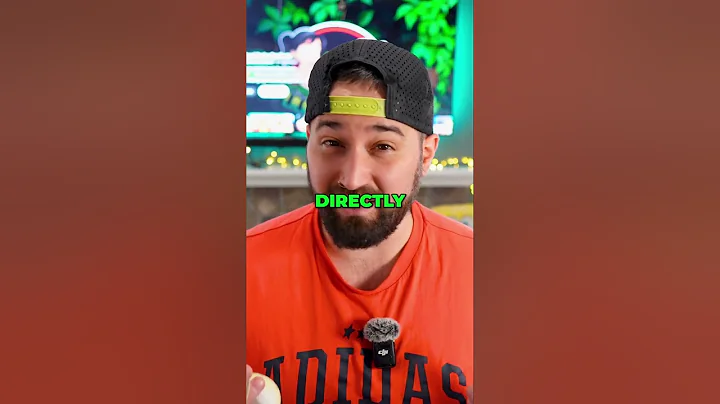 Avoid These Mistakes While Handling Your Ball Python!