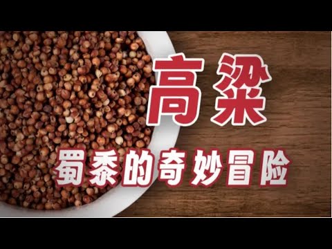 【鬼谷闲谈】高粱:苦涩谷子如何风靡人间 Episode cover