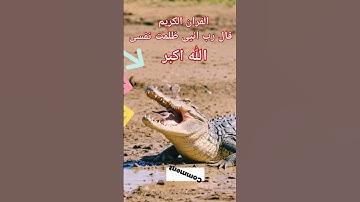 #القران_الكريم #تلاوه_خاشعه #المصحف #قال رب انیی ظلمت نفسی #الشيخ محمود الشحات #foryou