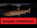 Русская рыбалка 4.Трофейная Кунджа сразу после обновы!