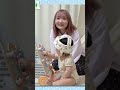 みなと君のお座り練習と安全対策のヘッドギア紹介 #shorts #切り抜き #ひめちゃんとおうくん