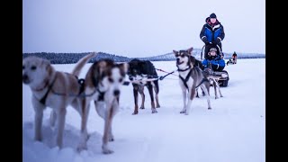 Finnland / Lappland / Ivola 2019. Weihnachten im Schnee.