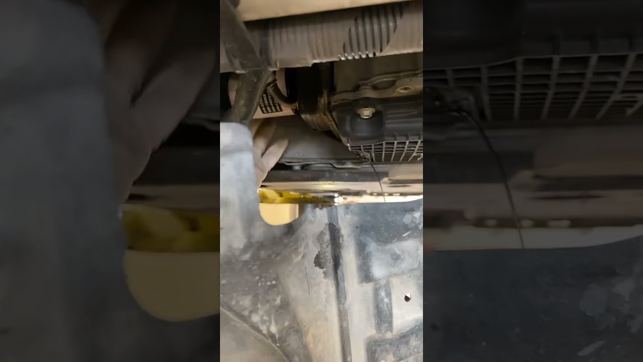 למה מיועדים מגני התזה?