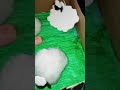 عيد اضحى مبارك كل عام وانتم بخير أجواء