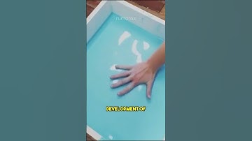 Non-Newtonian Fluid: A Liquid That Turns Solid Under Pressure 🥵