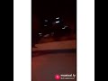 مهرجان الكلاب