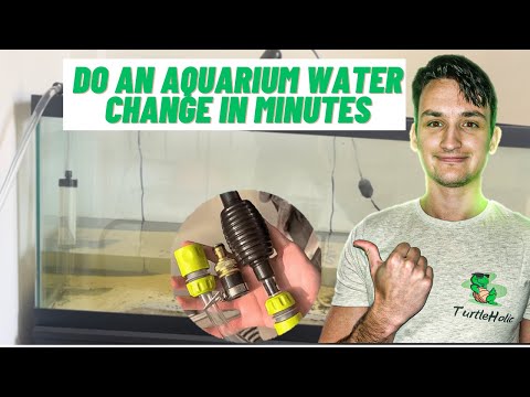 Video: Kā nomainīt ūdeni jūsu saldūdens akvārijā Easy Way