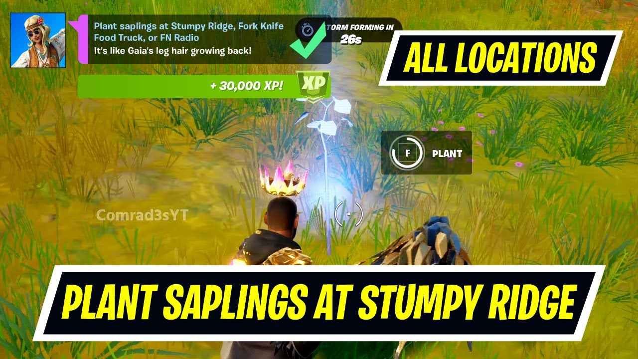 Plant saplings at Stumpy, Fork Knife Food Truck or FN Radio fortnite