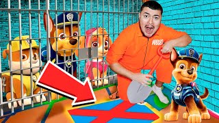 JE M'ÉCHAPPE DE LA PRISON PAT PATROUILLE ! Paw Patrol Prison !