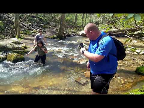 Gentry's Creek Falls Virtual Field Trip. Come with us and explore.