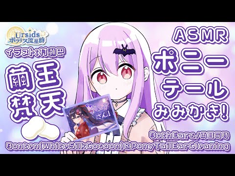 [ASMR/1h] 繭玉梵天とポニーテール#01 [声なし/No Talking]