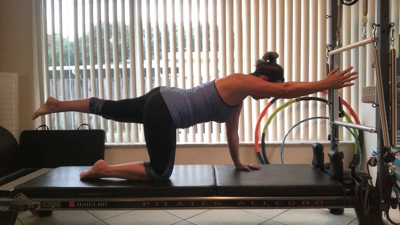 Quadruped variations - YouTube