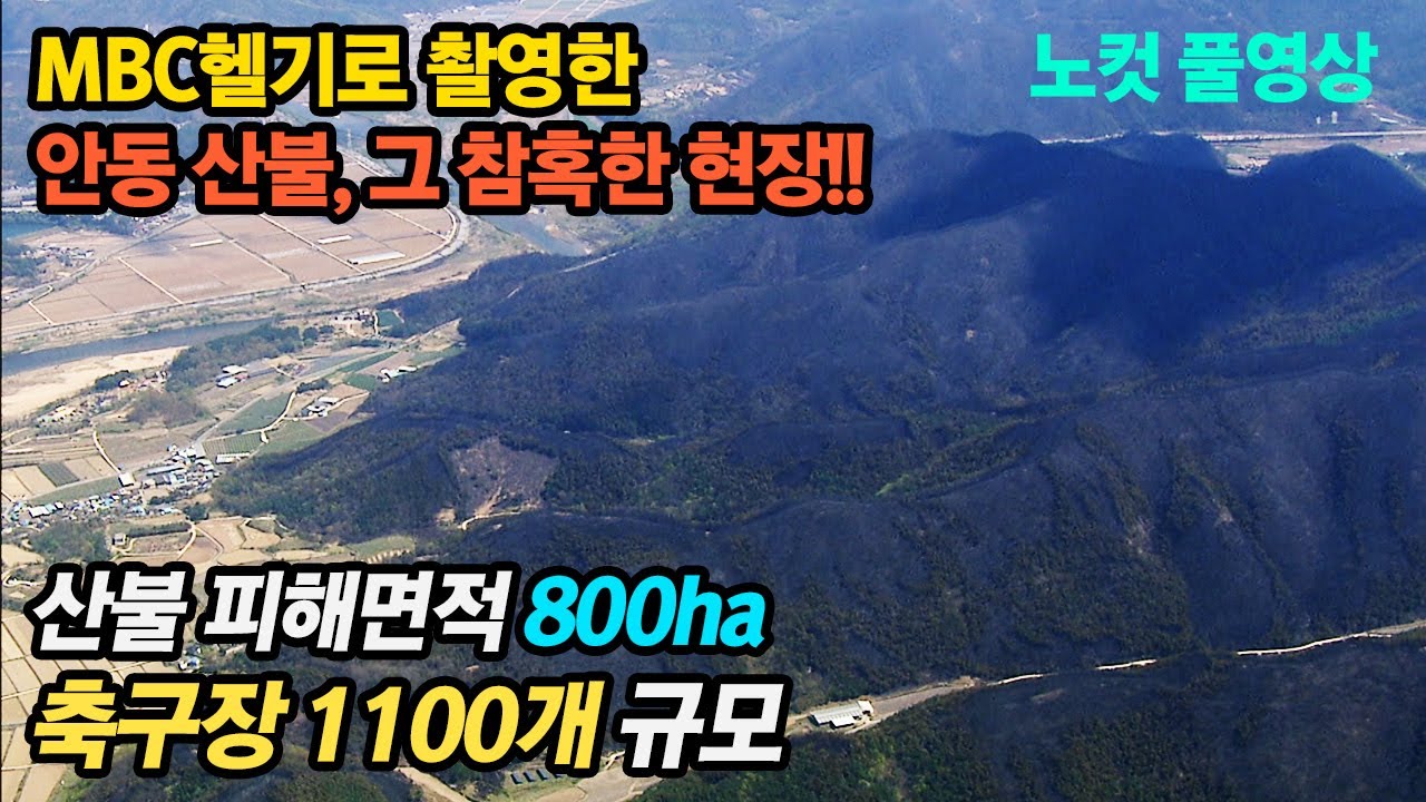안동 산불, 그 참혹한 현장 (MBC 헬기로 본 산불 현장)