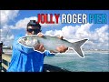 Jolly Roger Pier Fishing (Topsail, NC)