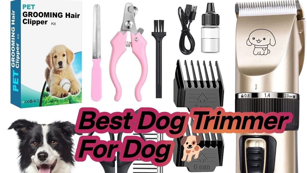 Best Dog Grooming Clippers (2025)