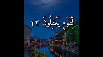 ما تيسر من سورة النحل بصوت شيخ خالد عبدالجليل