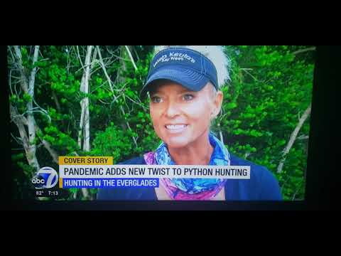ABC News Python Hunting During Covid