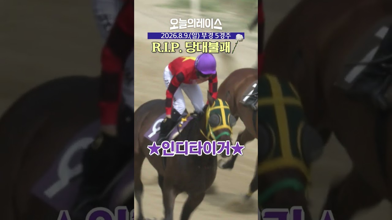 추모경주 우승마의 정체 #인디타이거 #당대불패 #경마