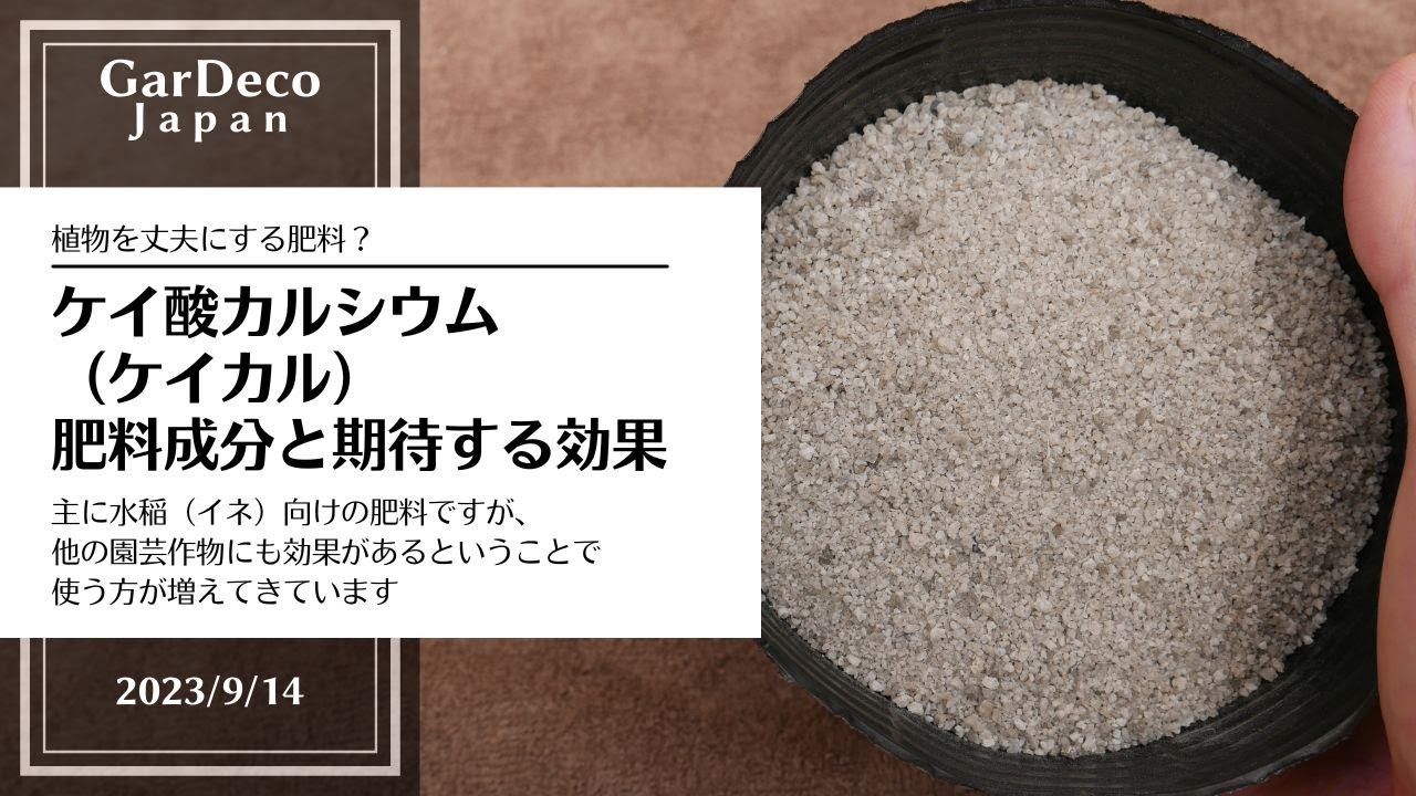 植物を丈夫にする肥料?ケイ酸カルシウム(ケイカル) YouTube