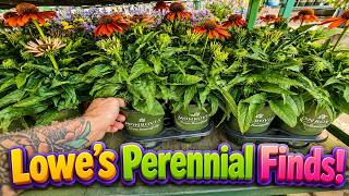 Lowe’s Plants, Landscape Lights & NEW Halloween Arrivals! 🎃🌼