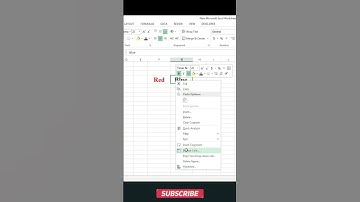 Text Color Change In Excel । #Excel ।#Shorts #computertipstrickshindi