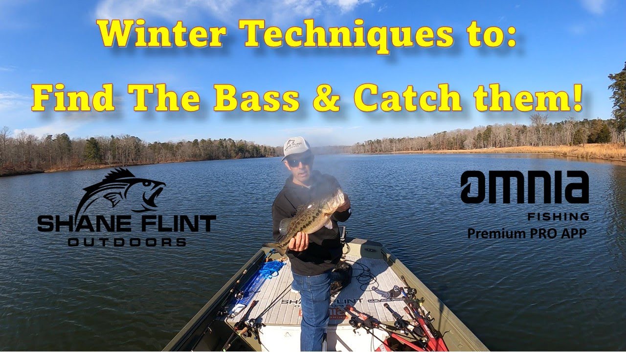 Locate Winter Bass & 3 Techinques to help you land them!