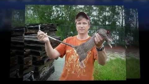 The Only Proven Way to Solve Rat Problems for GOOD!